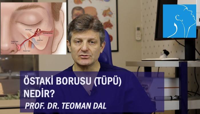 ostaki-borusu-tupu-nedir-prof-dr-teoman-dal