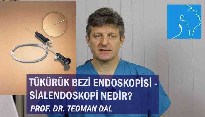 tukuruk-bezi-endoskopisi-sialendoskopi-nedir-prof-dr-teoman-dal