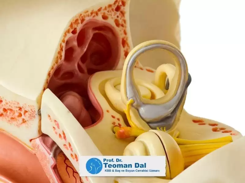 Kulak Tüpü (Ventilasyon Tüpü) Nedir?